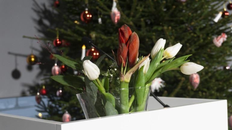 Flowers and Christmas tree