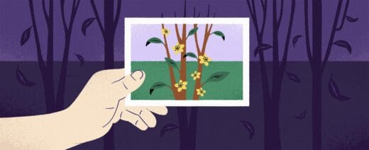 Piirroskuva, jossa käsi pitää valokuvaa.